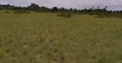 Beach Community Land      $1,700 per Lot