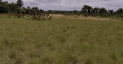 Beach Community Land      $1,700 per Lot