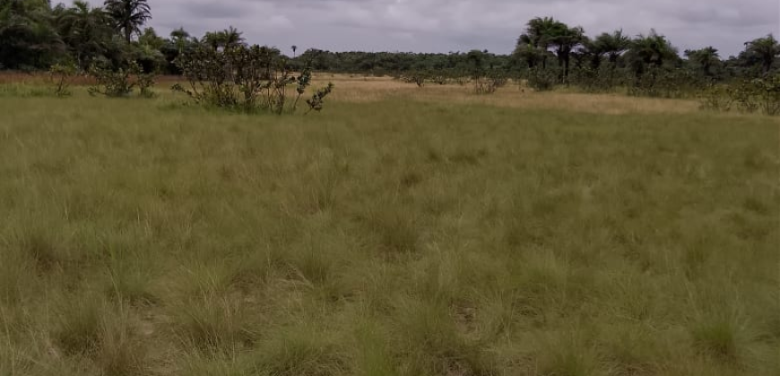 Beach Community Land      $1,700 per Lot