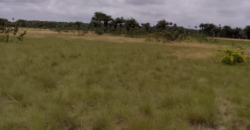 Beach Community Land      $1,700 per Lot