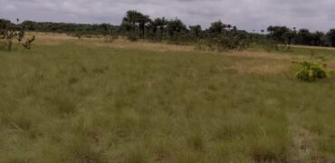 Beach Community Land      $1,700 per Lot