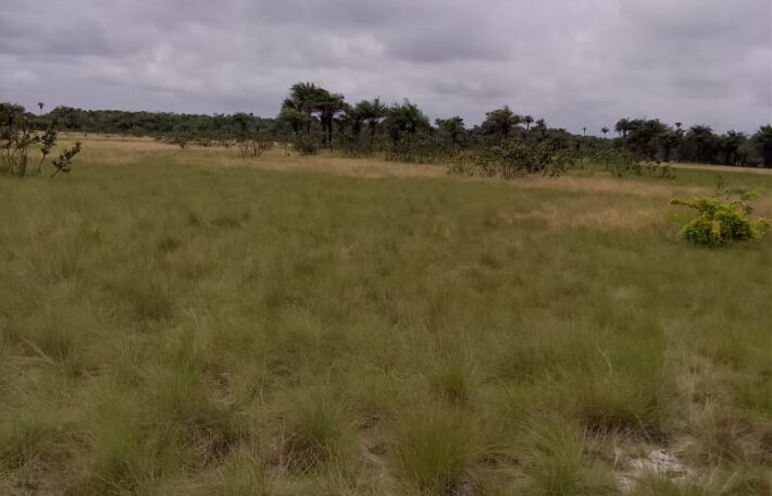 Beach Community Land      $1,700 per Lot