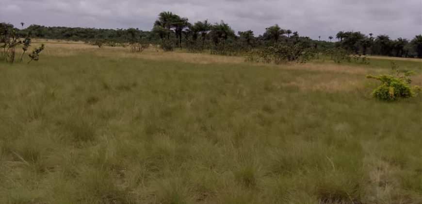 Beach Community Land      $1,700 per Lot