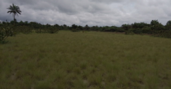 Beach Community Land      $1,700 per Lot