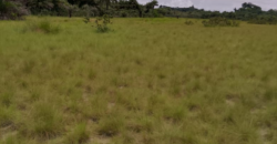 Beach Community Land      $1,700 per Lot