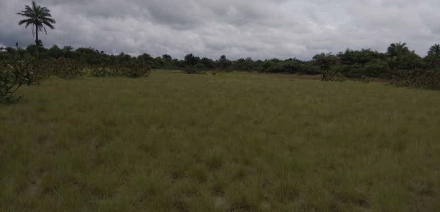 Beach Community Land      $1,700 per Lot