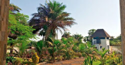Luxury Beachfront Mansion in Lower Marbigi $590K or Lease for $1K/Month Long Term.