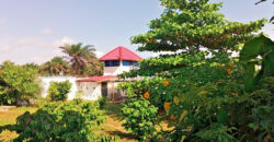 Luxury Beachfront Mansion in Lower Marbigi $590K or Lease for $1K/Month Long Term.