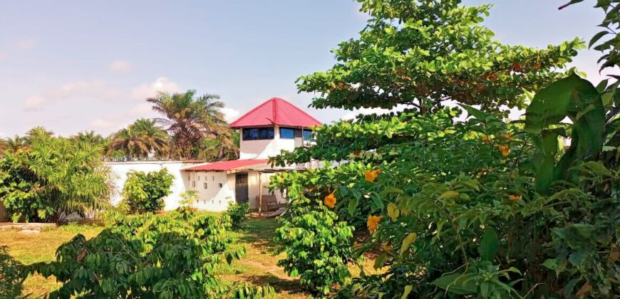 Luxury Beachfront Mansion in Lower Marbigi $590K or Lease for $1K/Month Long Term.
