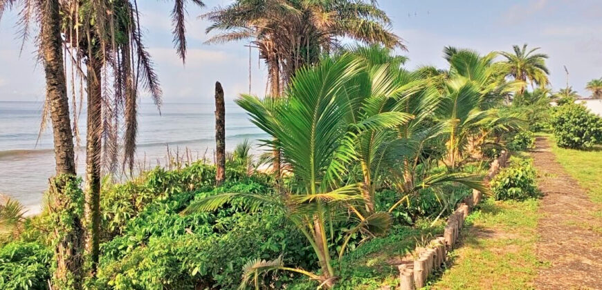 Luxury Beachfront Mansion in Lower Marbigi $590K or Lease for $1K/Month Long Term.