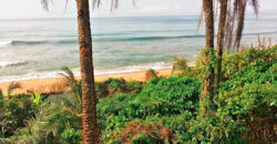 Luxury Beachfront Mansion in Lower Marbigi $590K or Lease for $1K/Month Long Term.