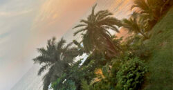 Luxury Beachfront Mansion in Lower Marbigi $590K or Lease for $1K/Month Long Term.