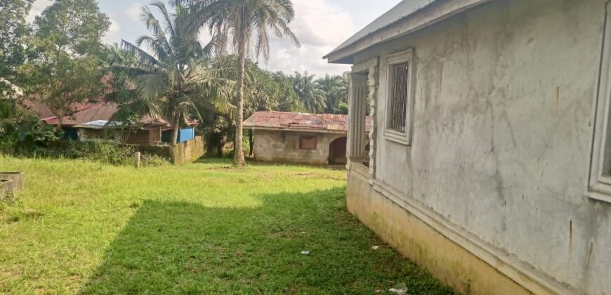 Unfinished House in Johnsonville Area $30,000