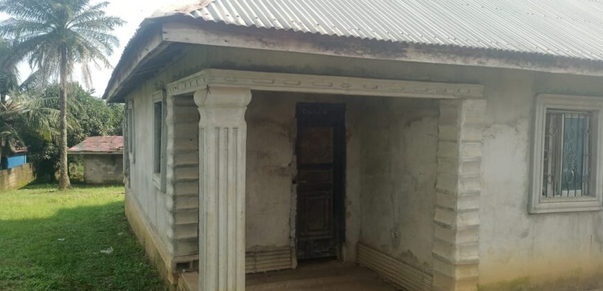 Unfinished House in Johnsonville Area $30,000