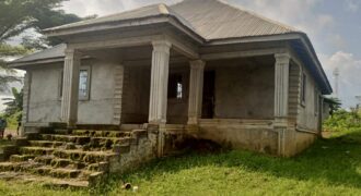 Unfinished House in Johnsonville Area $30,000